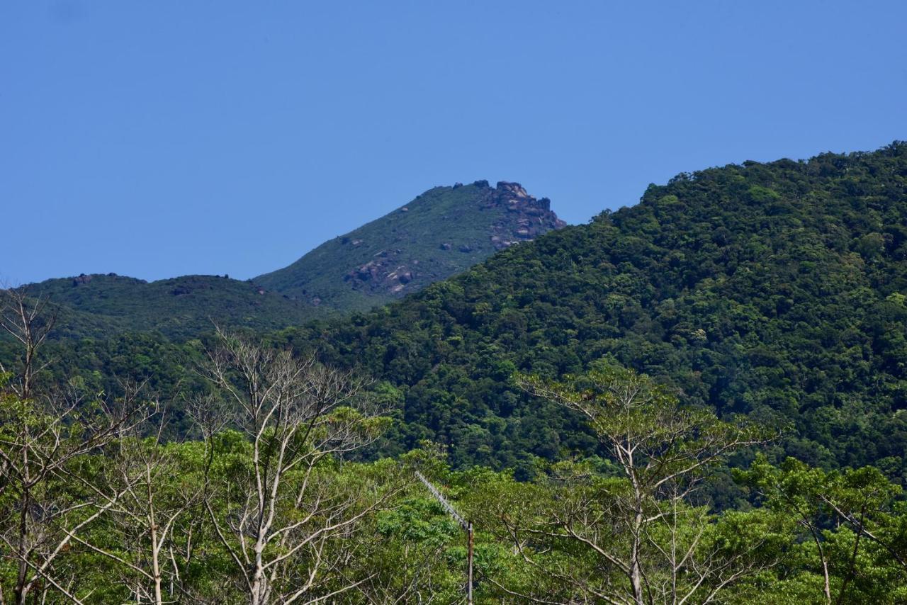 Daintree Peaks Eco Stays Buitenkant foto